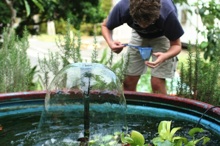 Aquaponics pond at Energy House